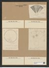 Actinoptychus vulgaris Schum. (de-Toni-Nr.: Genus 227, Species 5565) Zeichnungen Sammlung Grunow Nr. 9595 (NHMW-BOT-W0379413)